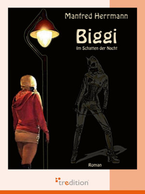 cover image of Biggi--Im Schatten der Nacht